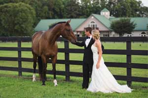bride-groom-horse