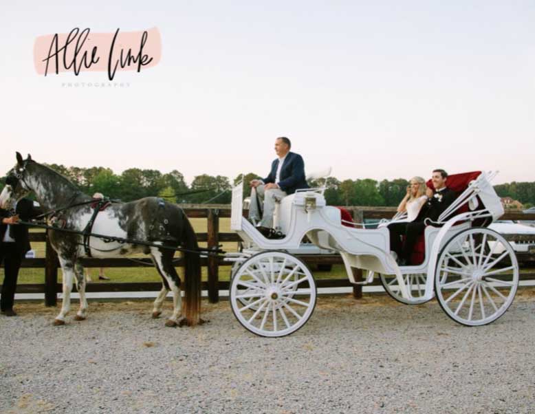 horse-and-carriage-white